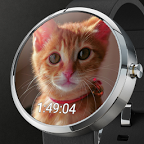 Cute Cats Watchface