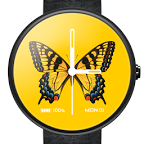 Colorful Butterfly Watch Face