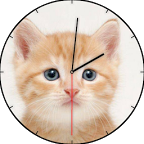 Kitten Watch Face